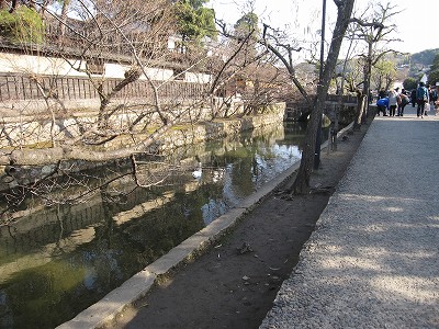 d0031853_1474887.jpg