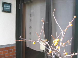 c0084862_2249338.jpg