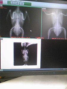 f0196665_2124254.jpg