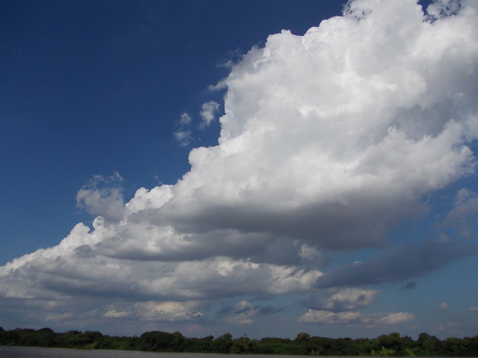 c0103368_511225.jpg