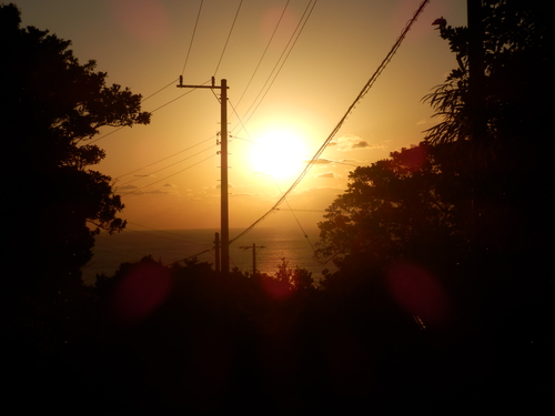 e0292172_2053381.jpg