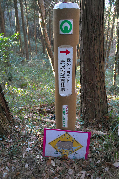d0225575_18234890.jpg