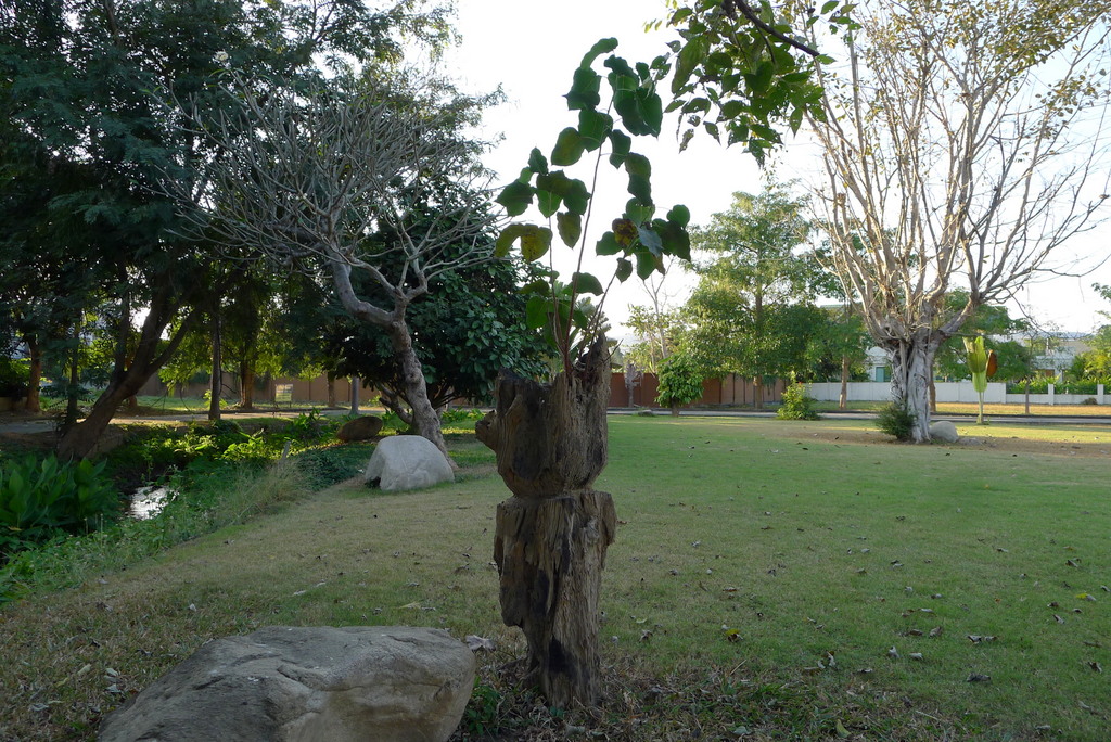 f0178278_105277.jpg