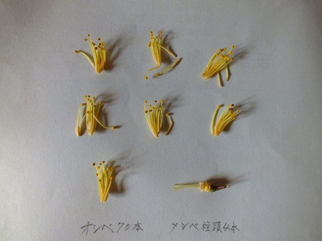 e0145782_17461019.jpg
