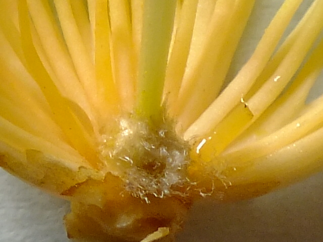 e0145782_17502392.jpg
