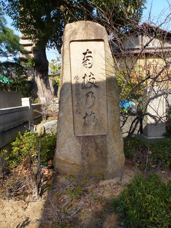 b0118987_1749085.jpg
