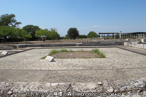 c0010496_494651.jpg