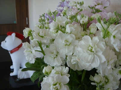 a0167803_12463725.jpg