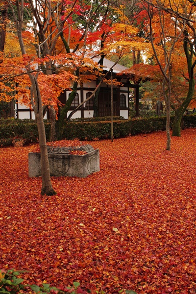 c0228404_3122747.jpg