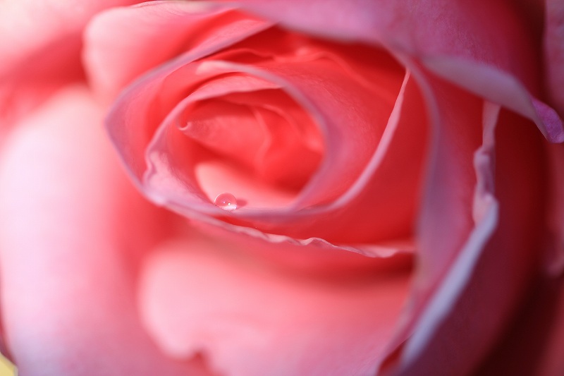 a0188405_13122795.jpg
