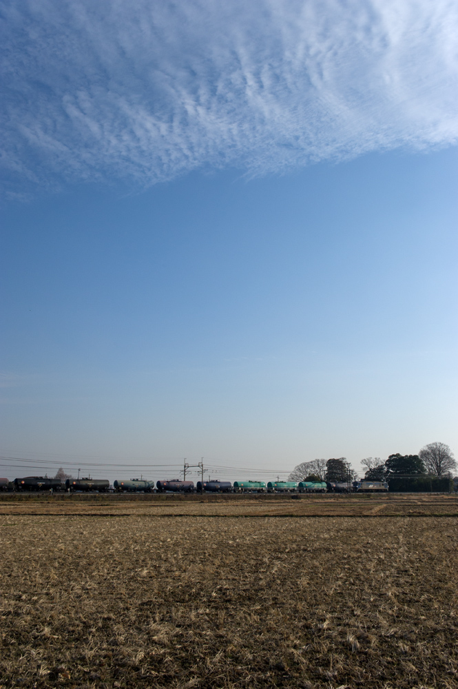 b0221605_984547.jpg