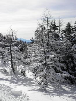 d0032405_22174474.jpg