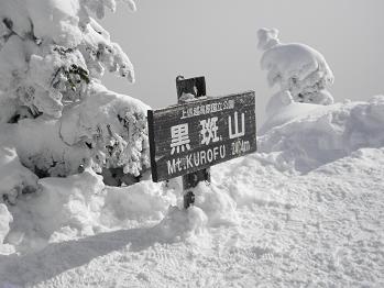 d0032405_22214665.jpg