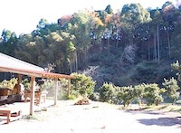 f0036716_151682.jpg