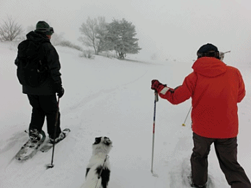 b0279527_6572792.gif