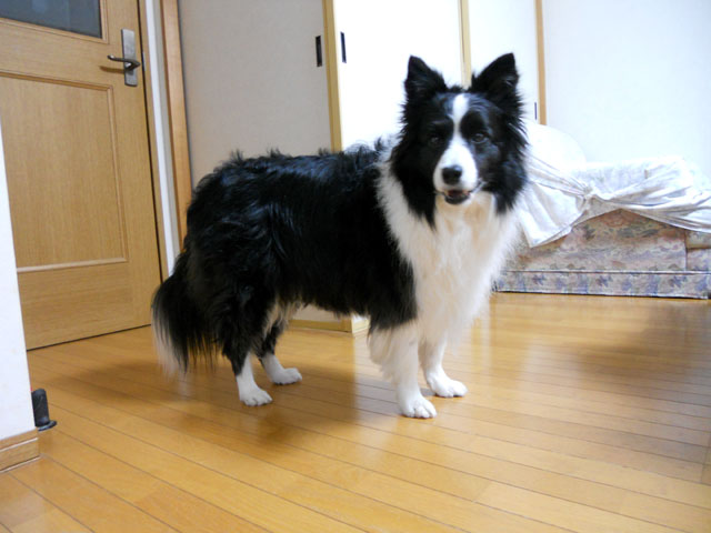 d0059230_8525671.jpg