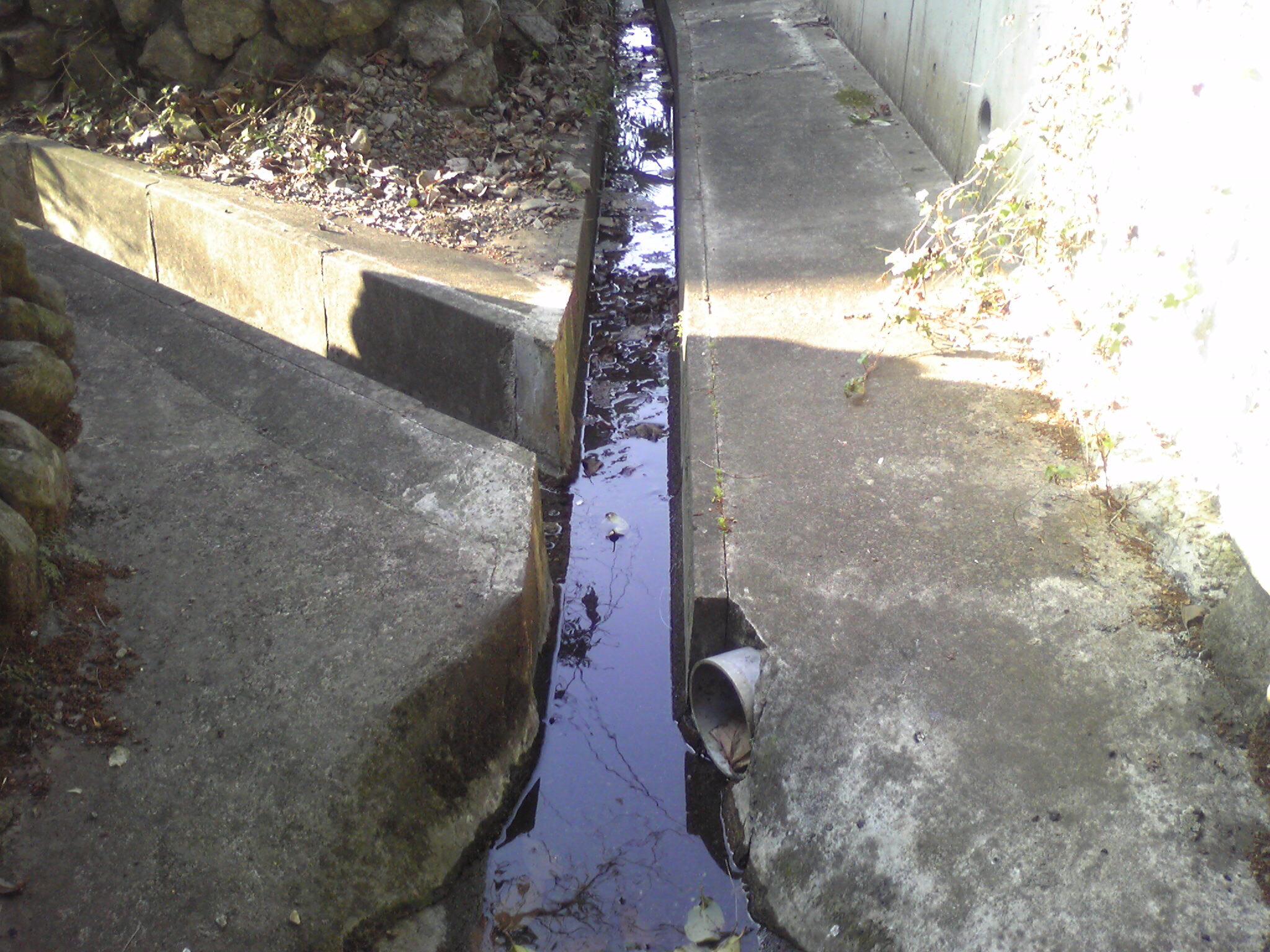 c0211734_22303873.jpg