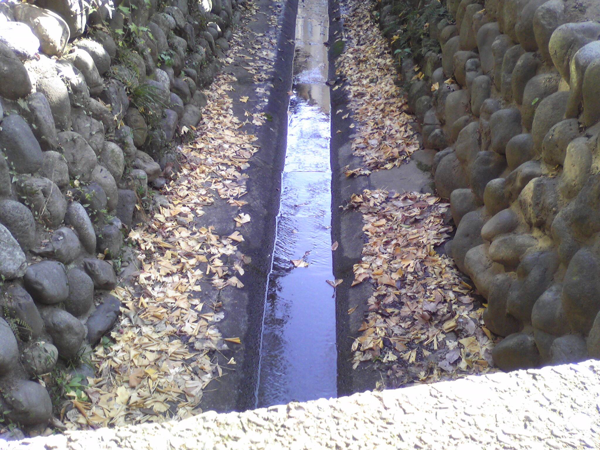 c0211734_22305740.jpg