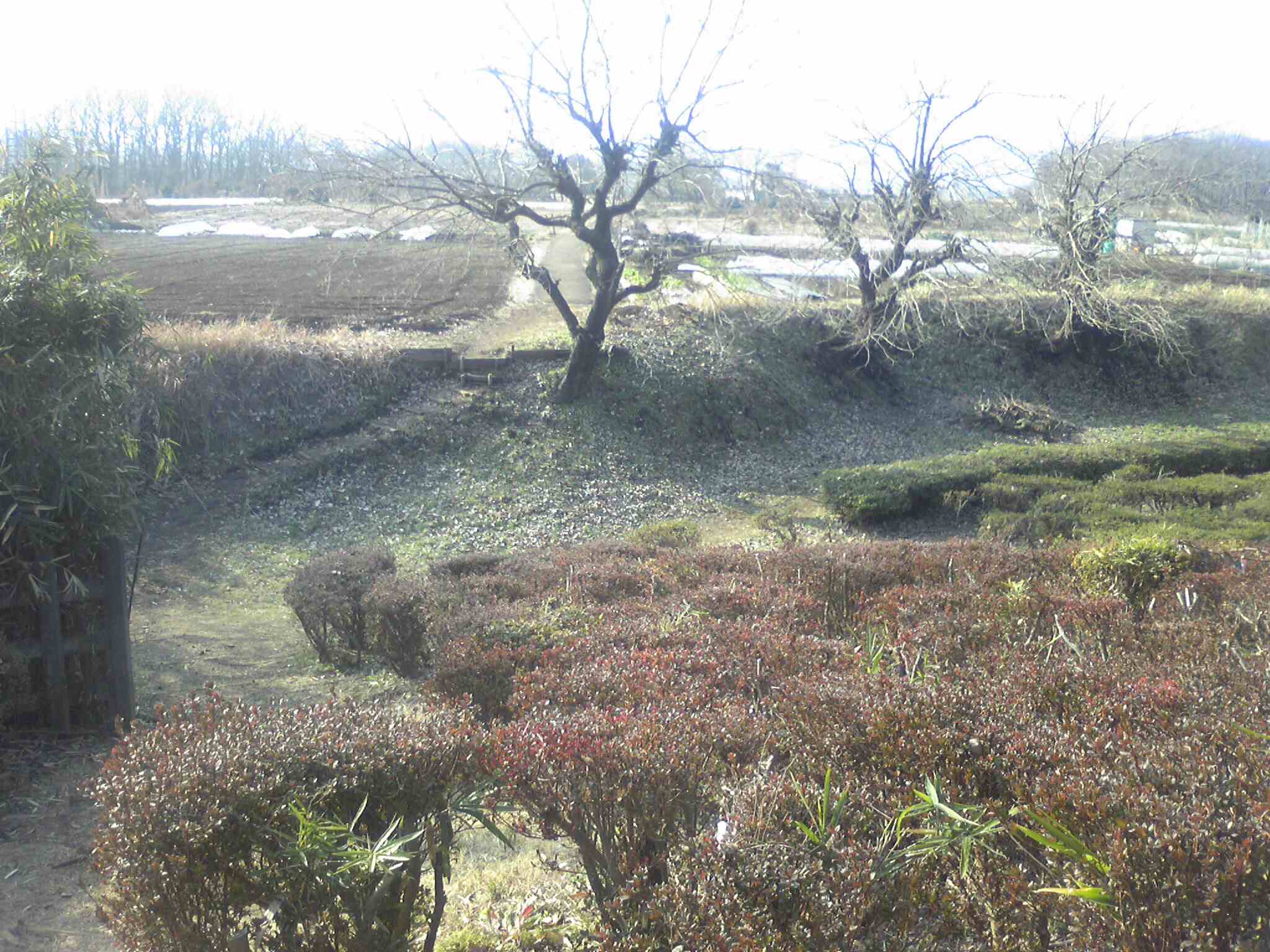 c0211734_224345.jpg