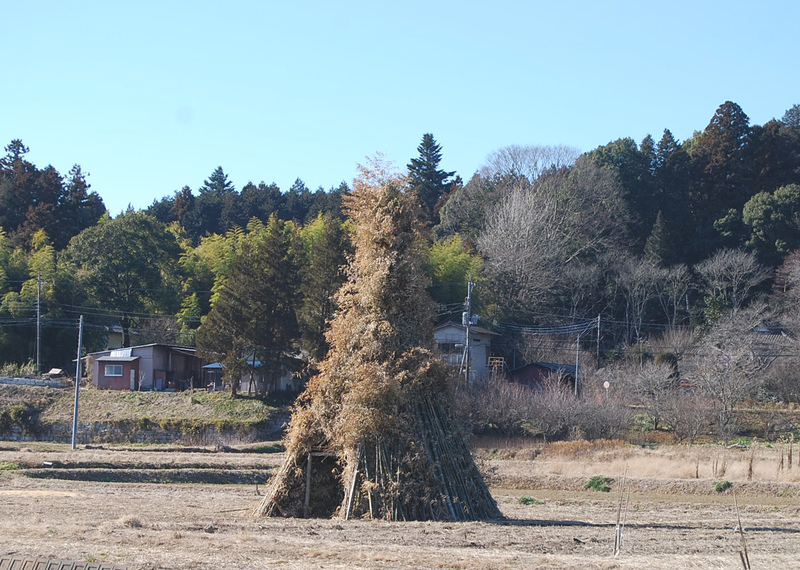 f0000148_23413431.jpg