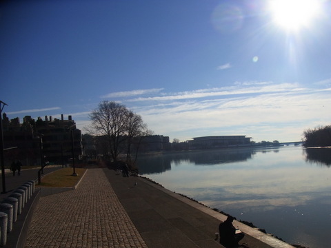 a0149356_1173632.jpg