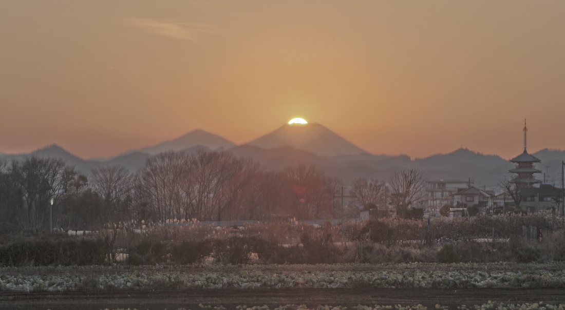 a0150260_2733100.jpg