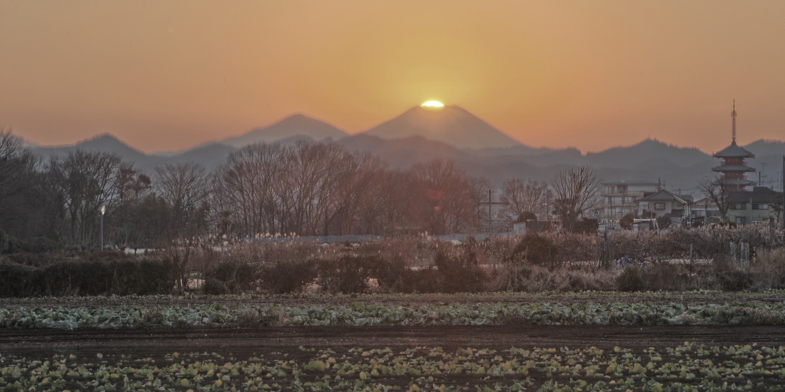 a0150260_275345.jpg