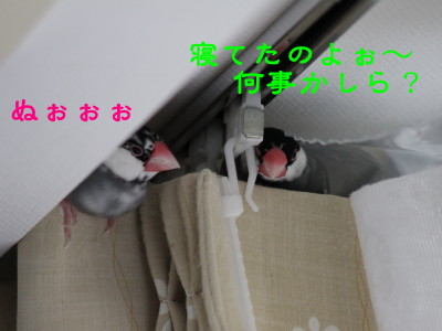b0158061_20303436.jpg