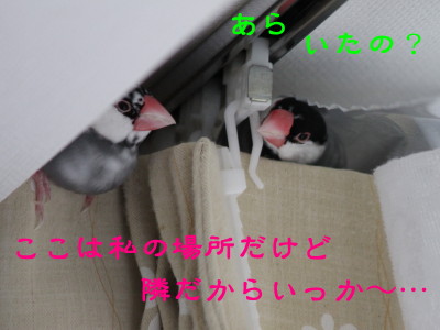 b0158061_20304511.jpg