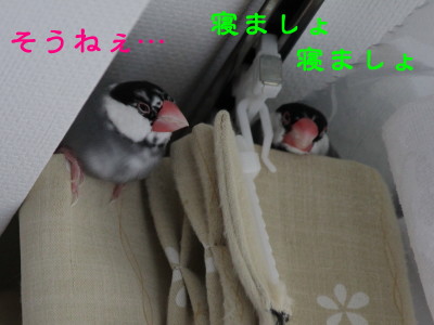 b0158061_20305363.jpg