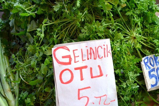 f0232763_8432984.jpg