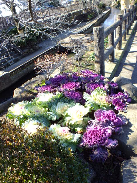 e0145782_16404765.jpg