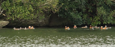 e0197884_85552.jpg