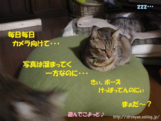 a0159490_12454131.jpg