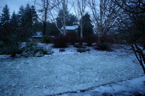 b0283192_714520.jpg