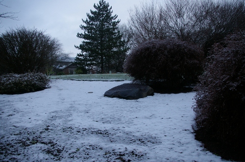 b0283192_754416.jpg