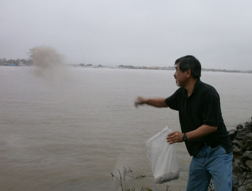 d0000995_459577.jpg