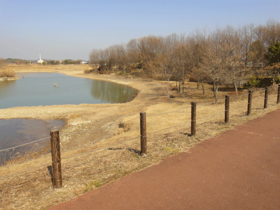 b0108100_18144625.gif