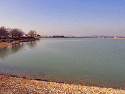 b0108100_18145878.gif
