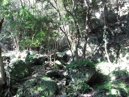 f0187402_21232631.jpg