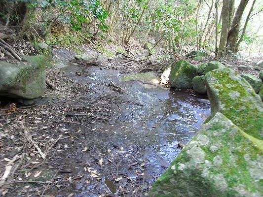 f0187402_21233558.jpg