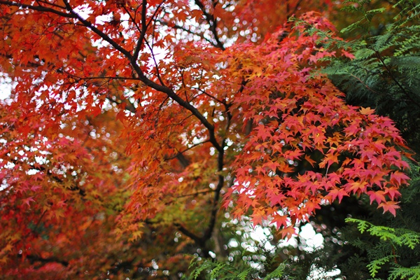 c0228404_67513.jpg