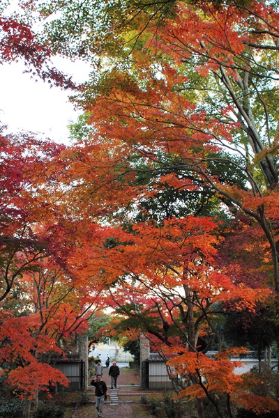 c0228404_67553.jpg