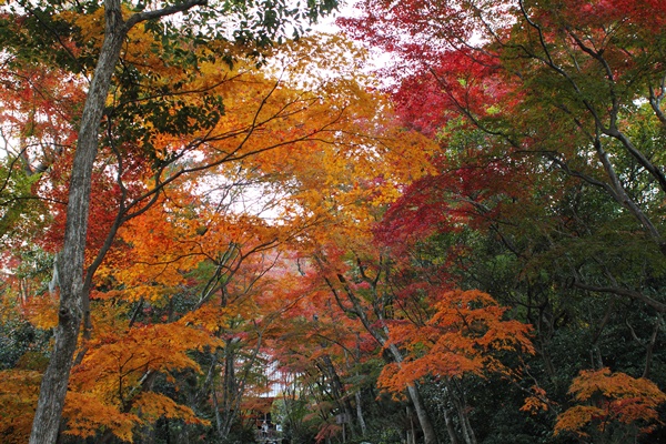 c0228404_675913.jpg