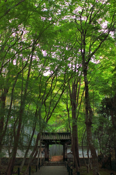 c0228404_76457.jpg