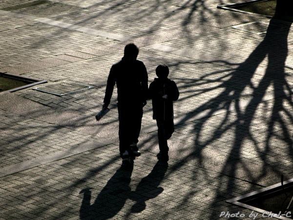 a0154706_8385438.jpg