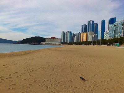 f0100911_2058360.jpg