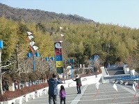 f0191517_17411850.jpg