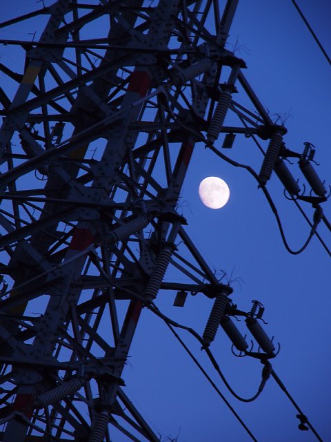 b0134829_16265415.jpg