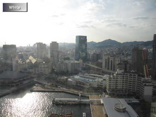 c0227134_9423552.jpg